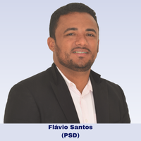 Professor Flávio Santos